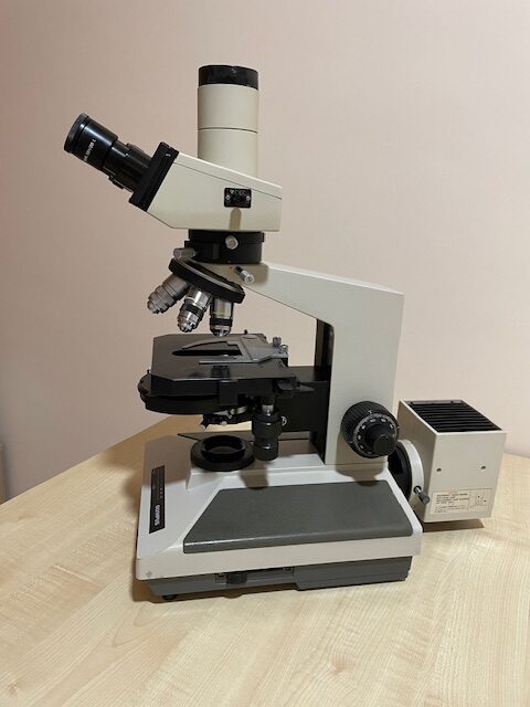 Microscopio Olympus BHS DIC y Contraste de Fases – Microscopistas